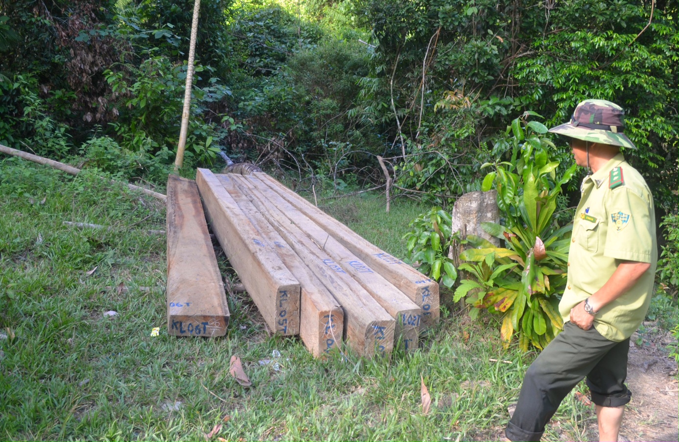 Đà[-]Nẵng:[-]Khởi[-]tố,[-]bắt[-]tạm[-]giam[-]cán[-]bộ[-]trạm[-]bảo[-]vệ[-]rừng[-]Cà[-]Nhông